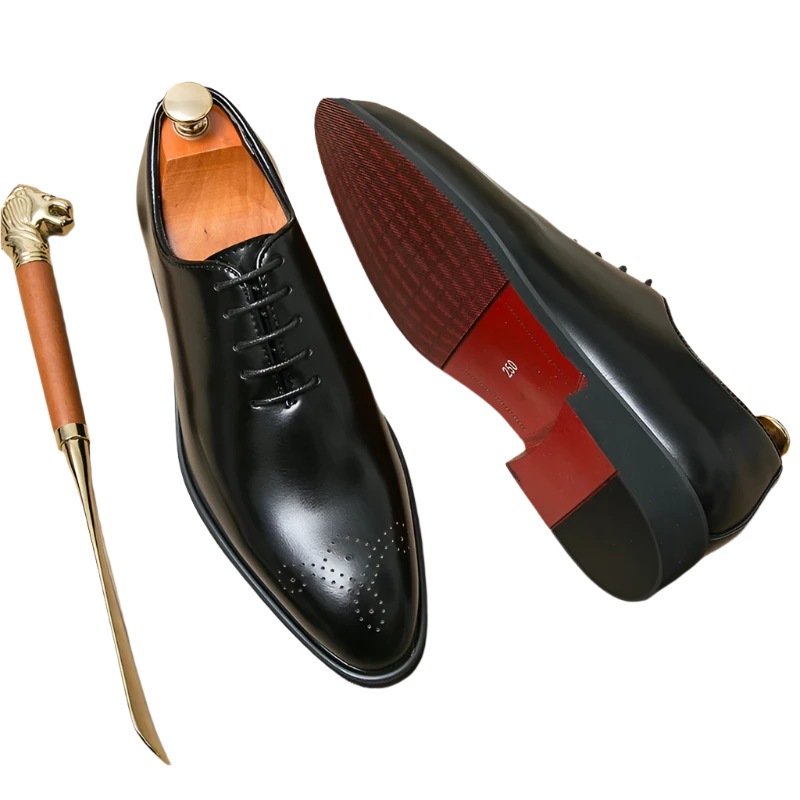 Swiss Leather Shoes High Quality